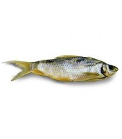 Poisson seché "VOBLA" 200g